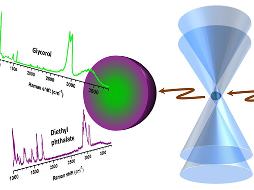 Laser-trapped Single Microdroplet