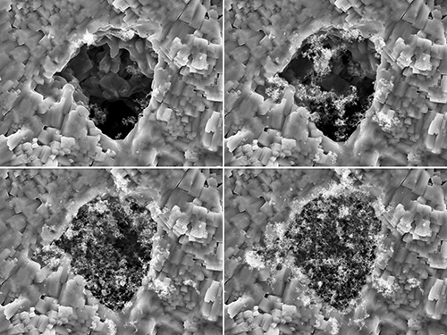 SEM Image Sequence of an 18 Micron Cordierite DPF Pore Loaded with Diesel Particles