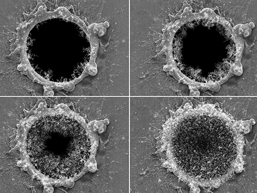 SEM Image Sequence of a 20 Micron Laser-Drilled Tungsten Channel Loaded with Diesel Particles (Plan View)