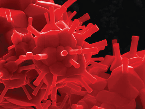 Faceted ZnO Raspberry