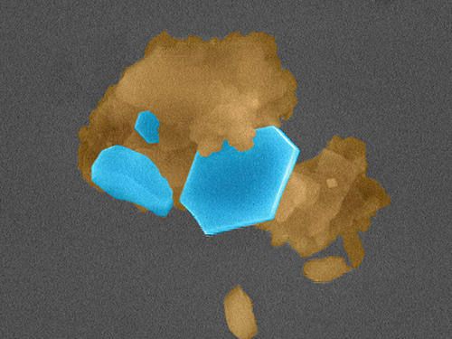 Direct Observation of Ice Formation on Kaolinite Mineral Dust
