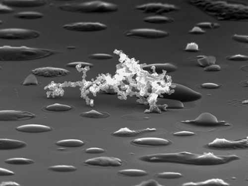 Atmospheric Soot and Internally-mixed Organic Particles