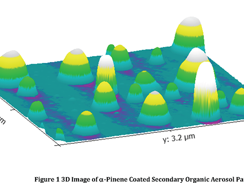 3D Image of ?-Pinene Coated Secondary Organic Aerosol Particles by Afm