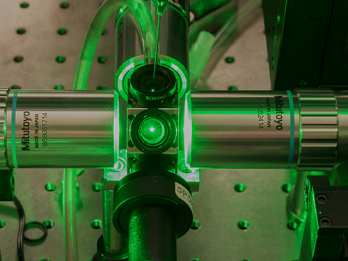 A Single Pollen Grain Optically Trapped in a Reaction Chamber