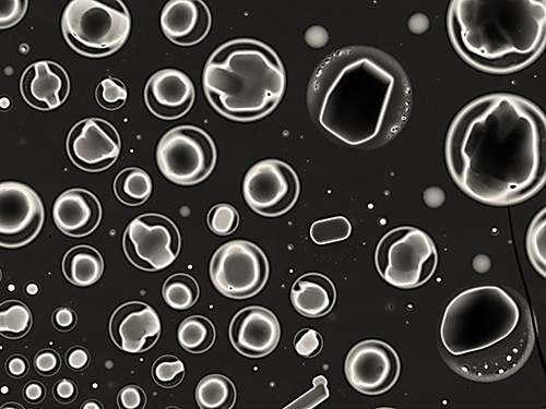 Phase Separated A-Pinene and Sulfate Particles 