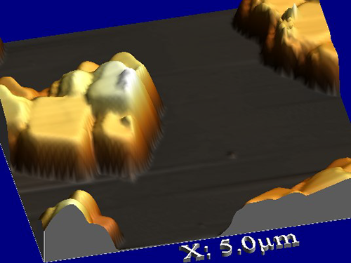 NaCl Particles Captured on Mica and Imaged with AFM