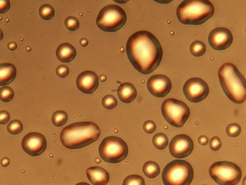 Hygroscopically Grown Salt Particle Droplets