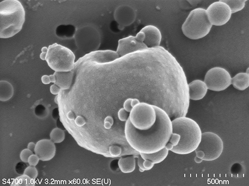 Tar Balls from Wildfire Smoke