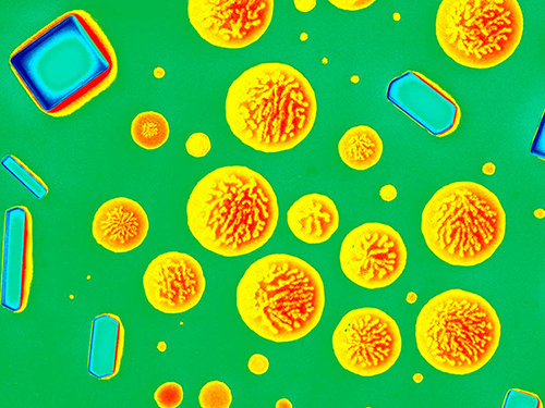 The Complex Wordl of SOA