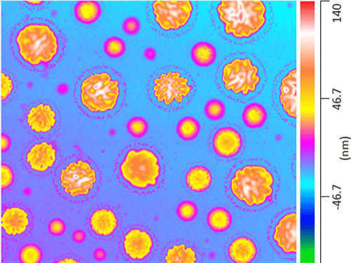 Your Brain on Acid(ic aerosols)