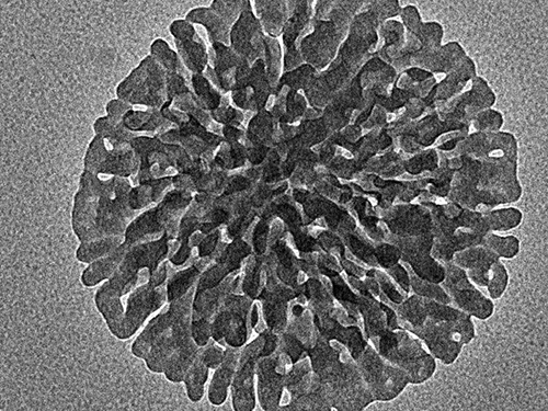 Complexity is Just a Phase