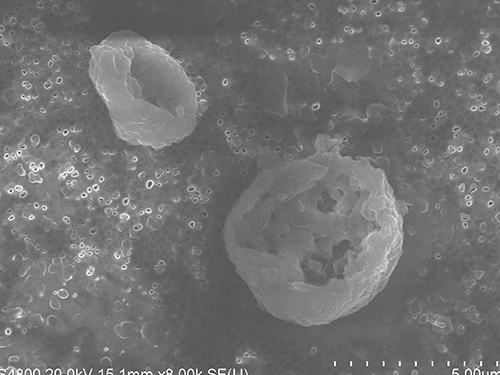 Lithium Ion Battery Explosion Aerosols