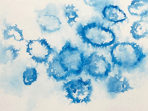 Crown of Thorns - Watercolor