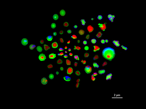 Microscopy Images from Cured-in-Place-Pipe Installation Particles