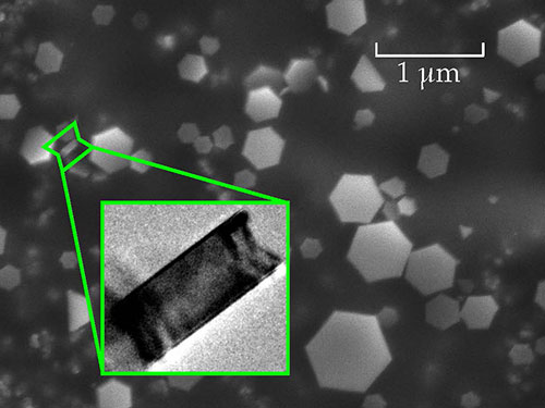 Plasmonic Magnesium at a Black Tie Event
