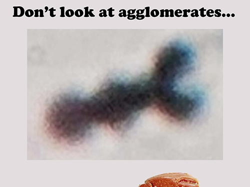 It wasn't an agglomerate... it was an agglomerate lobster!