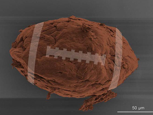 World's Smallest Football