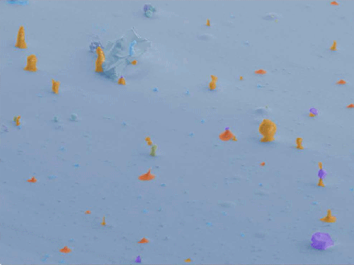 Fine Particle Landscape on the Surface of a Snowflake