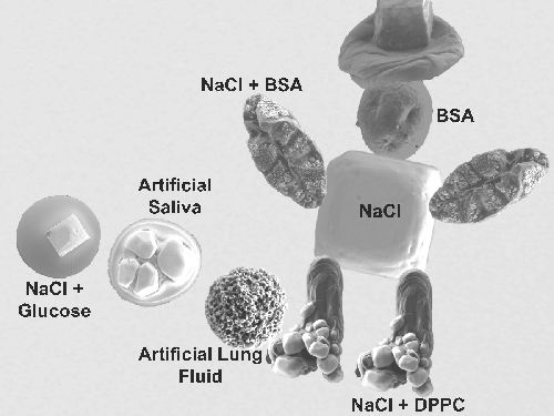 Meet The Aerosol Cowboy:  Composition Dependent Aerosol Morphology
