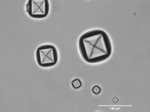 The Diamond's Cousin