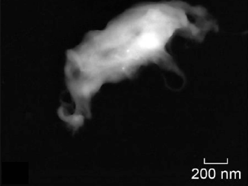 Floating Elephant - ID35</strong></p>
		</div>