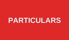 Submit an article to <em>Particulars</em>